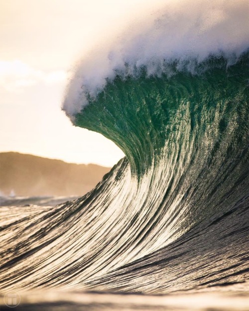 surf4living:  Raw Photo: Thurston Photo  xx