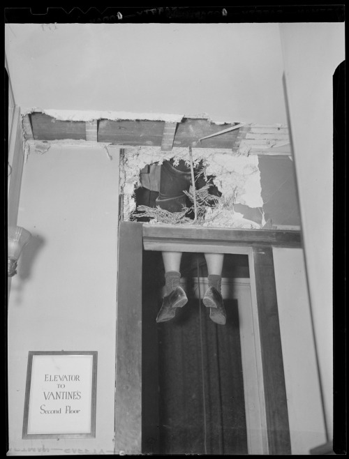 weirdvintage:Elevator repairman, mid 20th century, by Leslie Jones (via)