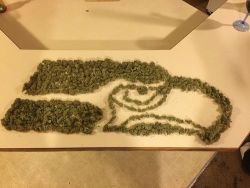 marihuanalegal:  For all the Hawks fans out there http://ift.tt/1i3G1bk