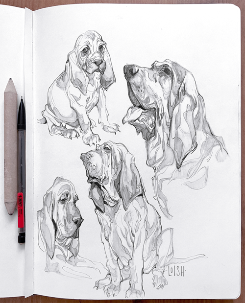 loish:    Some droopy good bois to satisfy my urge to draw wrinkles and folds ~ 