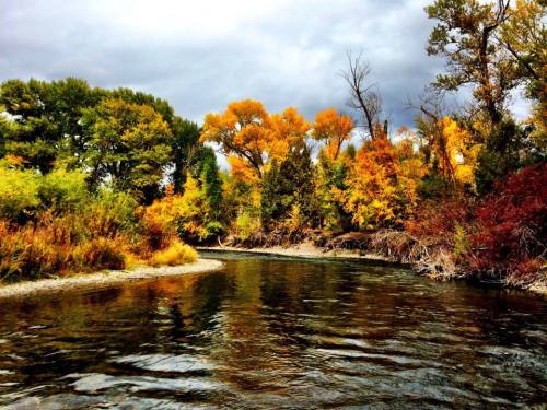 Fall on the river.