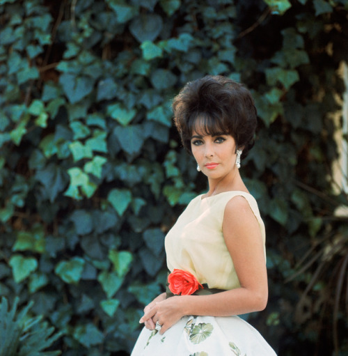 Elizabeth Taylor photographed by Mark Shaw