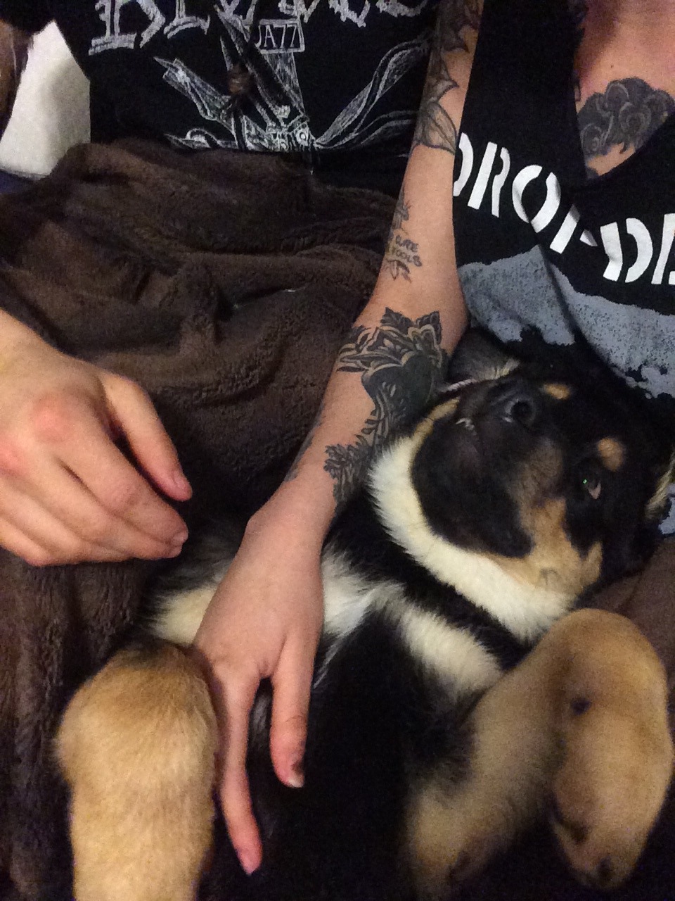 headless-heartless:Our little idiot