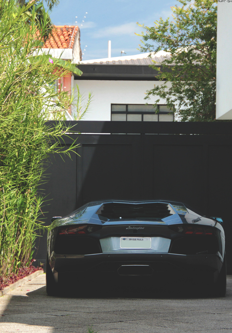 stayfr-sh:  Aventassauro Rex | SF     