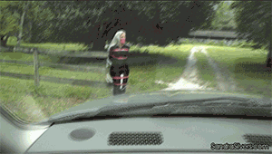 archive-of-blogs:Pole Tied - Walking
