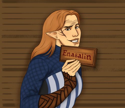 My DAO Playthrough In One Meme