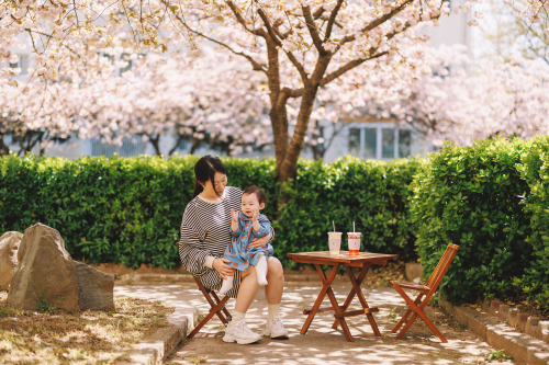 2022-04-17Spring, Cherry BlossomCanon EOS R3 + RF15-35mm f2.8L ISCanon EOS R6 + RF50mm f1.2LInstagra