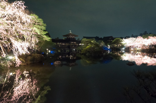 平安神宮 泰平閣と桜 by GENuine1986 on Flickr.