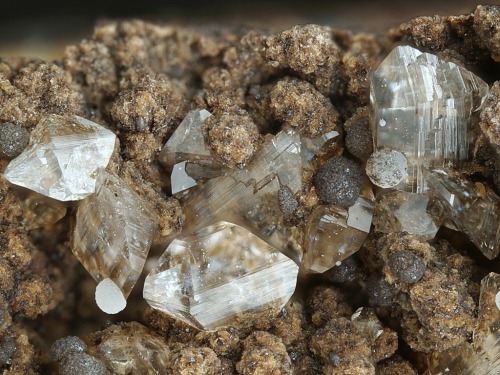 ifuckingloveminerals:  Brandtite Harstigen Mine, Pajsberg, Persberg district, Filipstad, Värmland, Sweden