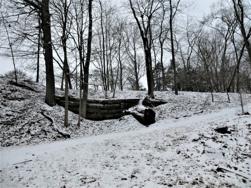 Allegheny Cemetery 1-31-21-13