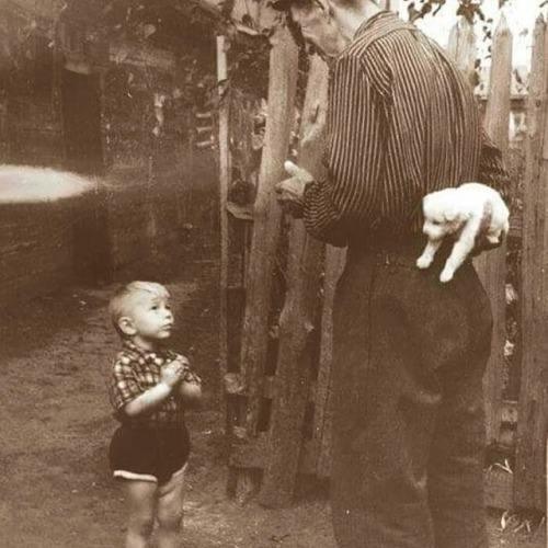 atraversso:  atraversso: A selection of the most heartwarming historic photos ever.    streetartglobe  on ig   Please don’t delete the link to the photographers/artists, thanks!   