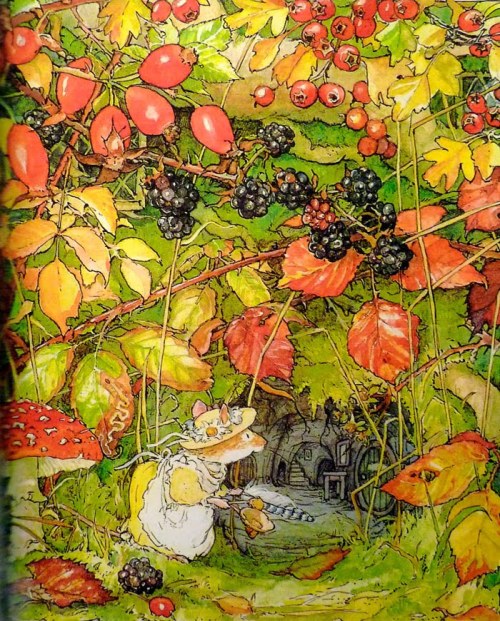 Brambly Hedge by Jill Barklem