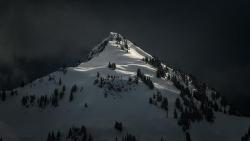 amazinglybeautifulphotography:Few moments of sun during a storm near Mt Rainier, Washington [OC] [1600x900] - MK-photos