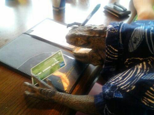 lennythereviewer:  darkriku5:  My friend was walking and found this Godzilla toy in the Trash so he put a shirt on it, named him John, and then took him out to T.G.I. Fridays and then Dinner was on John.   Godzilla is such a bro 