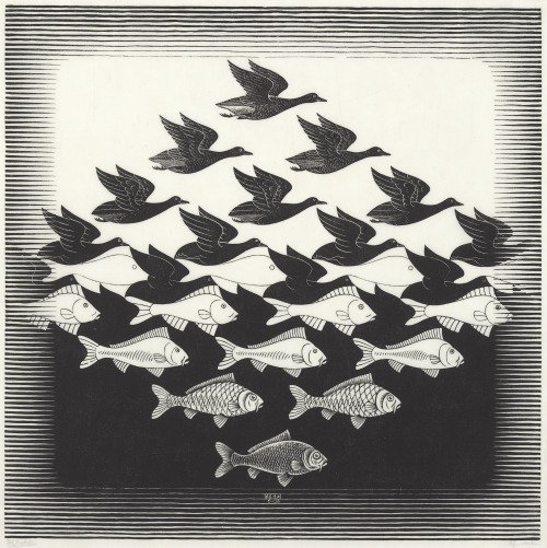 Stepwise transformations and entanglement. Escher understood transformation and entanglement before 