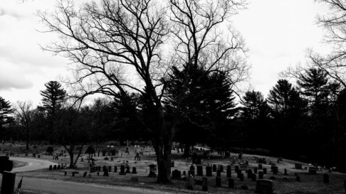 swforester:Scenes from Quabbin Park cemetery. This cemetery was created in 1932 because of the const