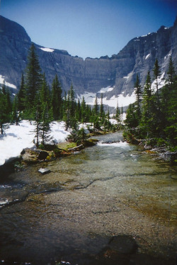 existential-wilderness:untitled by warmsummernight