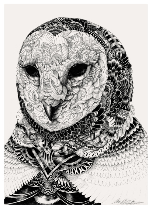 urhajos:  Iain Macarthur 