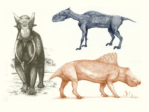 cmkosemenillustrated:An elephant, a rhinoceros and a horse reconstructed with the mistakes we often 