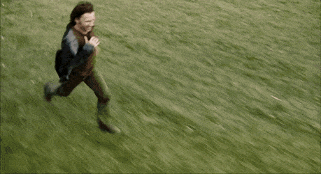 d6a68c84bfdefda146b3b9fc6a49f2f0d885b66f.gif