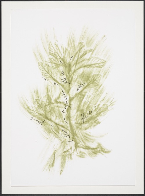 Giuseppe Penone, from Thirty-Three Herbs (Trentatre Erbe), 1989.