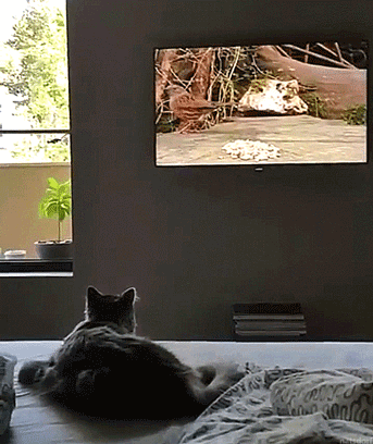 tastefullyoffensive:  So close. [full video]
