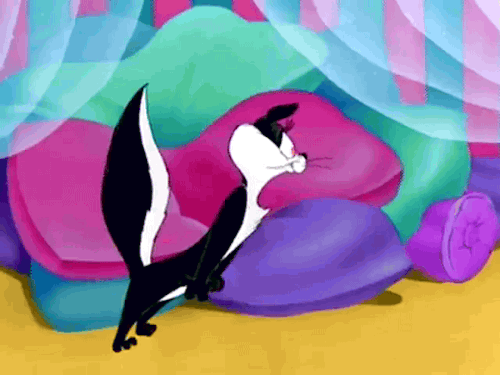 Penelope Pussycat, Pepé Le Pew / Chuck Jones’s Little Beau Pepé (1952)