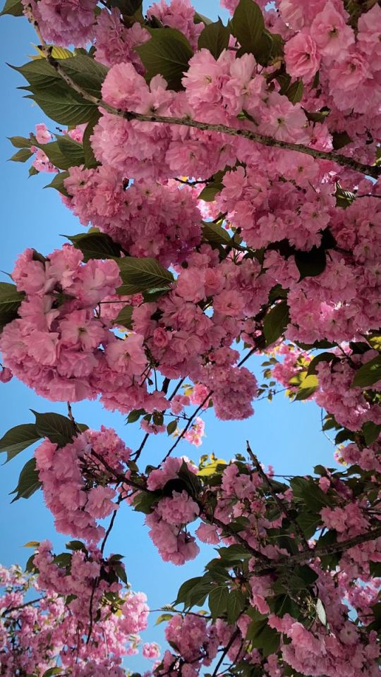feminineenergylife - Feminine Energy Life