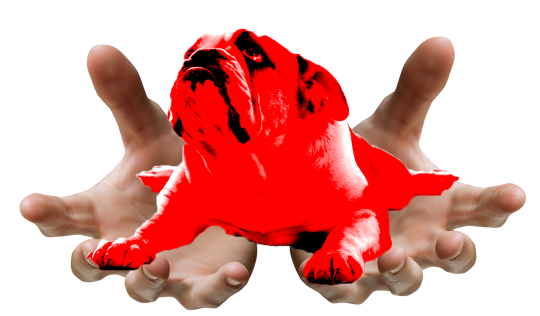 wizardjpeg: sweetbabyraysgourmetsauces:  wizardjpeg:  sweetbabyraysgourmetsauces:   wizardjpeg:  you don’t know what damage or harm i could do if i were roused  Hi!   oh hi sweet baby ray  Take my sauce dog you magical coward  