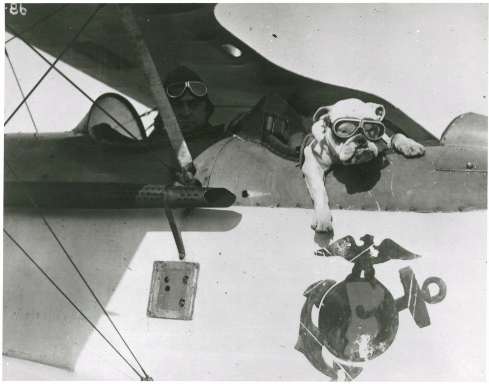 historicaltimes:   Sergeant Major Jiggs, mascot of the U.S. Marine Corps, undated.