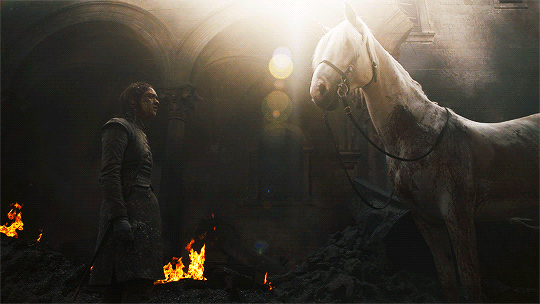 tumblr_prog1fRVzm1u4kolmo3_540.gif