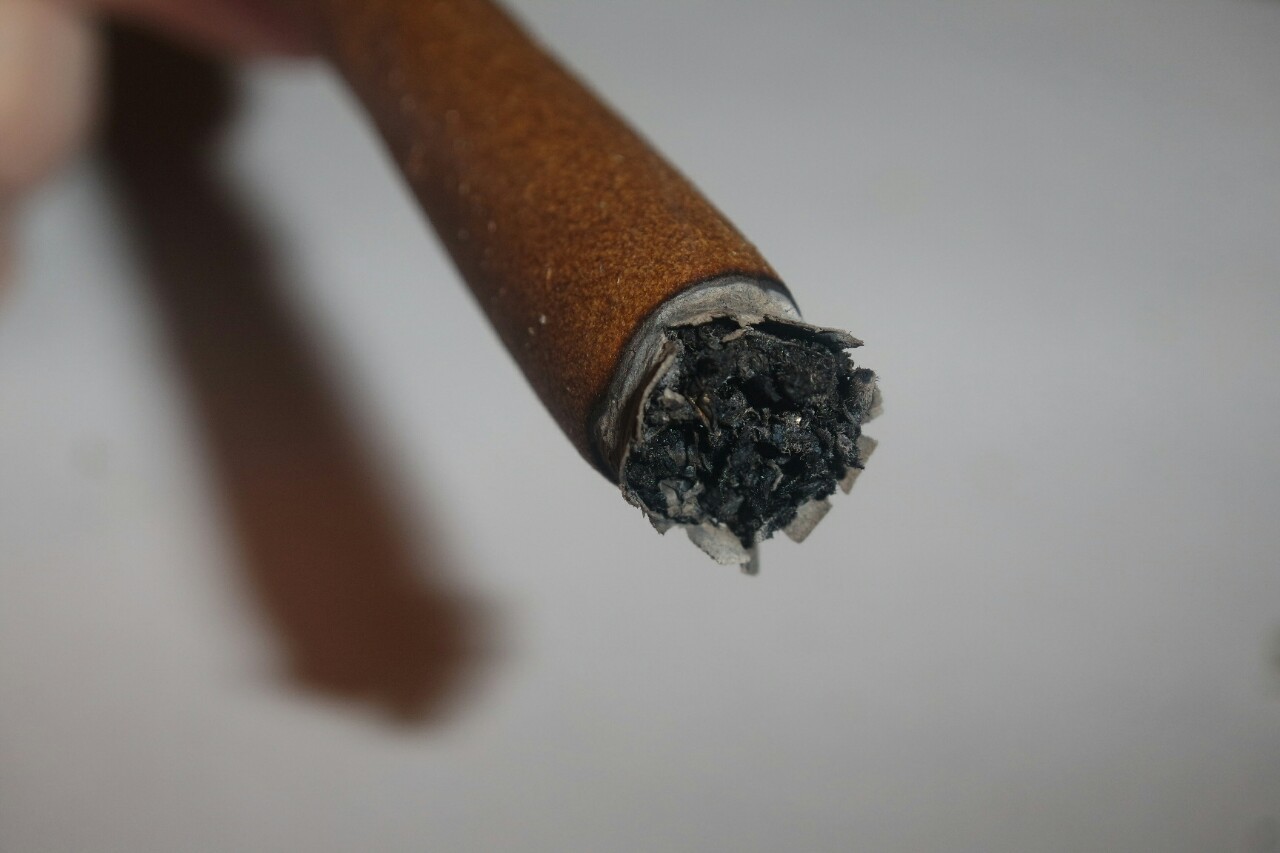 mice-teeth:  Really love how this photo set came out 