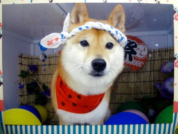 [二次元裏(may)(ふたば)] via Illustail