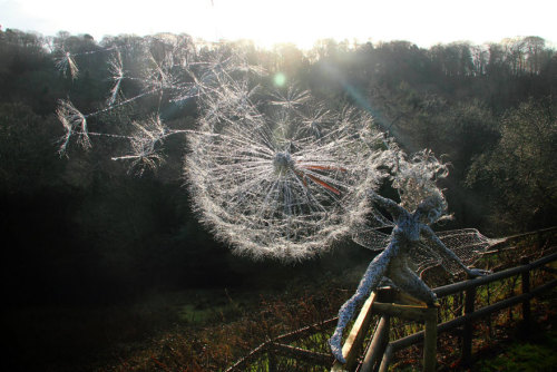 fer1972:  Amazing ‘Fairies with Dandelions’ Wire Sculptures by Robin Wight