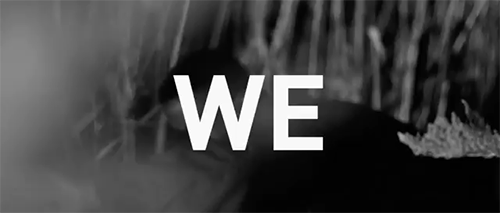 sizvideos:  Watch Alicia Keys’ beautiful message video to get 1 million signatures