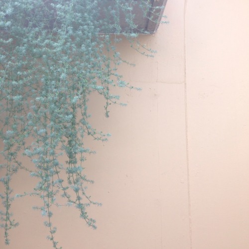 lumiac:  @ Kew Gardens // 30.04.15