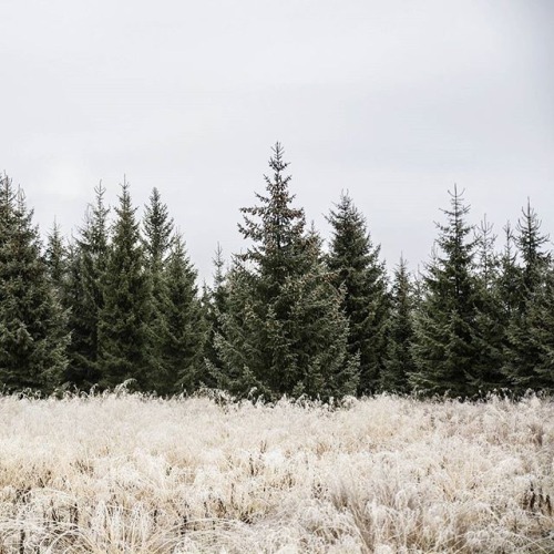 delta-breezes:  Frida Lindgren | @deskriptiv