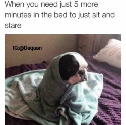 brightstar171:  acetoxy:  me every morning