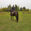 littlestfilly:  I saw Jester (one of her pasture pals) riding in the field and I