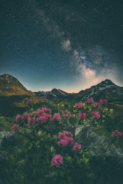 sitoutside:  Spring in the Alps by Nicholas