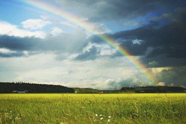 howstuffworks:  10 Science Questions You Should Really Know How to Answer Why is