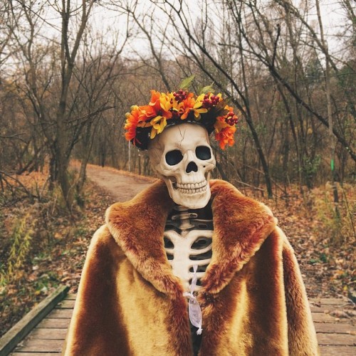 elisemerand:PHONOGRAPHY - “omgliterallydead&ldquo; This skeleton is basically any Girl on instagram.