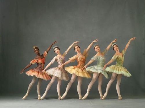 delicatuscii-wasbella102: The Washington Ballet - Sleeping Beauty.