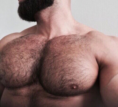 For more hairy men -&gt; follow @otter4wood