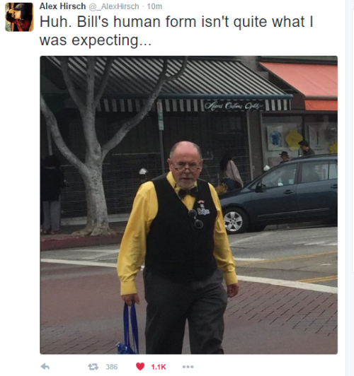 pinesinthewoods:Alex’s approved human Bill forms:- Steve Urkel-Old bald guy crossing the street