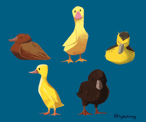 Just some baby ducky doodles!