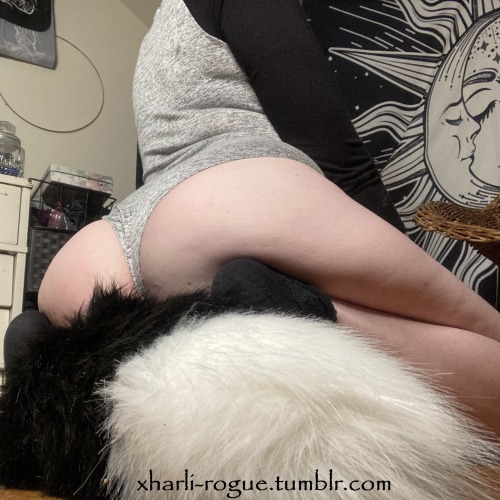 xharli-rogue:xharli-rogue:it’s.. so.. FLUFFY!! -please leave caption intact onlyfans less than Ŭ! 