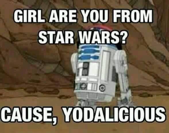 wineogirl:  Lol