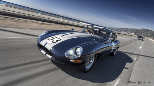 gasinblood:Jaguar XK-E (E-Type) in race mode by I am Ted7 on Flickr.Jaguar XK-E (E-Type) in race mod