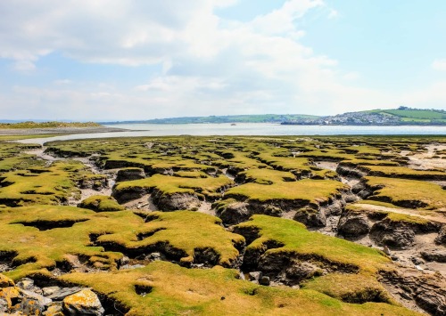 Northam Burrows, Devon.